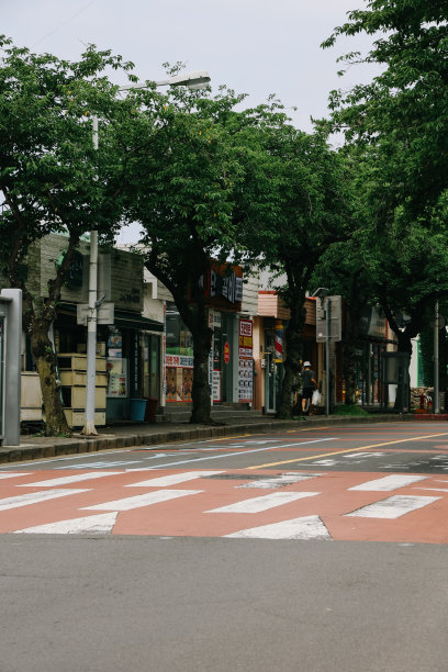 夏季的西归浦市景。图片下载
