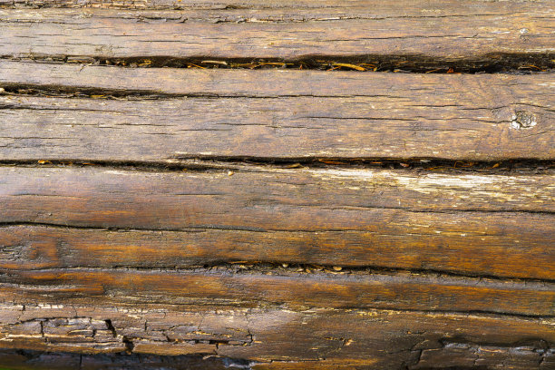 近距离砍树。浮雕创意木纹。老木头纹理的横向照片。图片下载