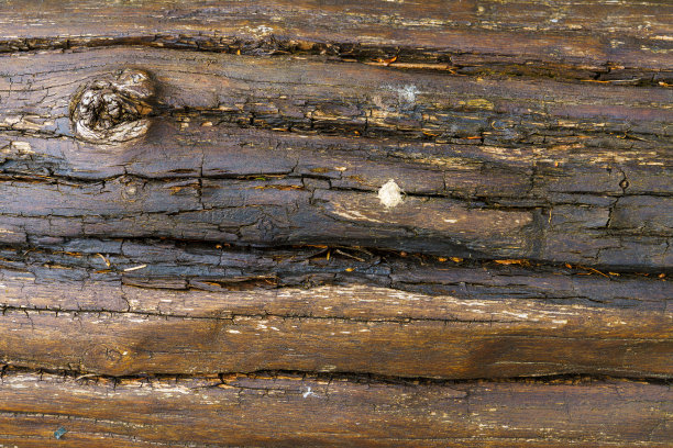 近距离砍树。浮雕创意木纹。老木头纹理的横向照片。图片下载
