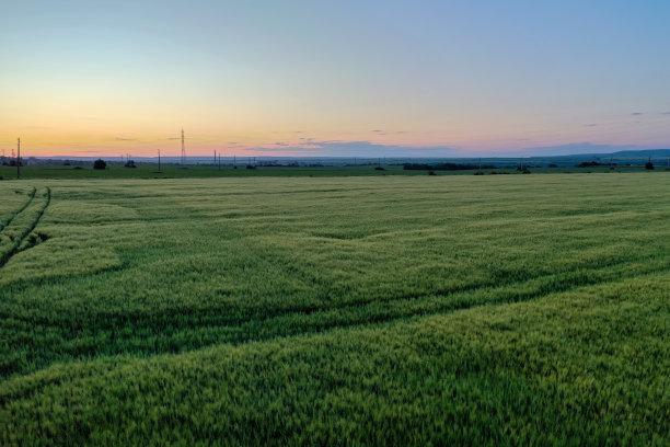 日落后的麦田。图片下载