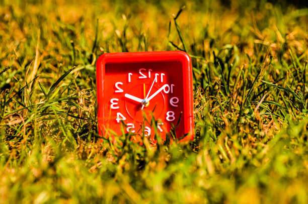 草地上放着一个红色的钟，上面有数字1到12图片下载