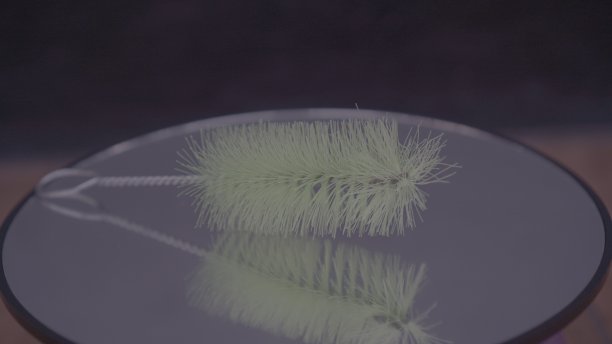 所有的刷子都是用来清洗小猫的饮水瓶的图片下载