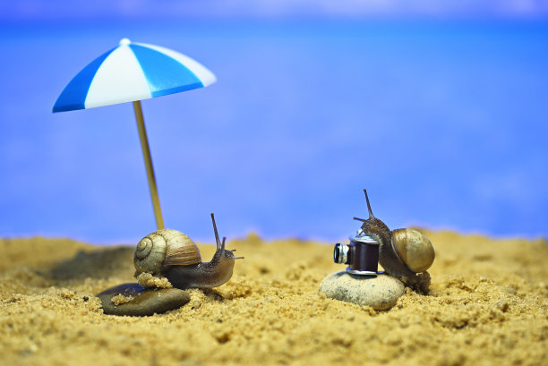 海滩上的蜗牛。在海边拍照。以度假为主题的概念性宏观照片图片下载