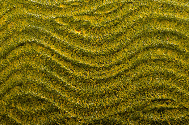 背景与波浪形纹理在黑色和黄色图片下载