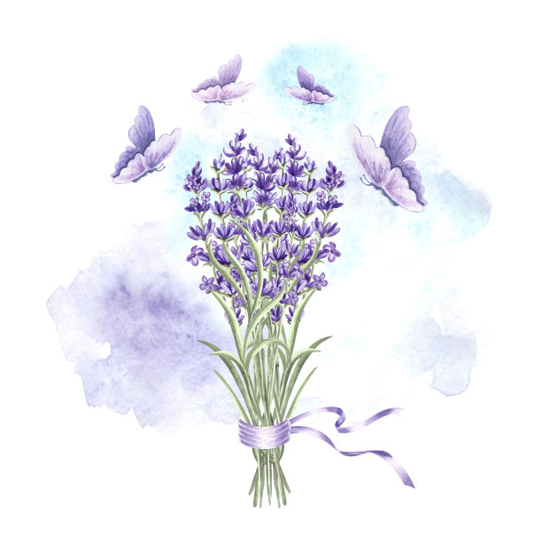 薰衣草和蝴蝶。紫色的普罗旺斯花束带。水彩插画春暖花开。孤立的手绘草药。卡片模板、包装模板、餐具模板、纺织模板、刺绣模板。图片下载