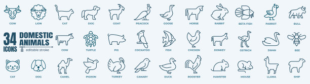 家畜矢量图标。细线生物图标集。简单的矢量图标。可编辑的行图片下载