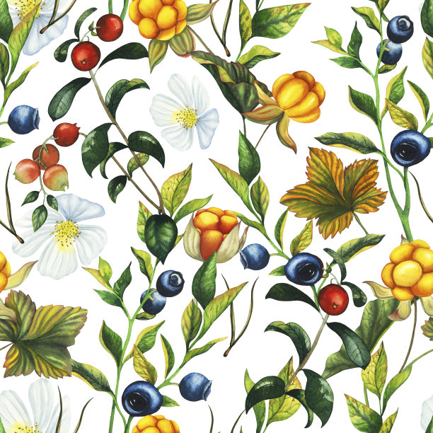 水彩无缝图案手绘红莓，蔓越莓和蓝莓与浆果，树叶，树枝花。植物森林浆果插图在白色孤立的背景。适用于包装纸、纺织品、旗帜、植物装饰等图片下载