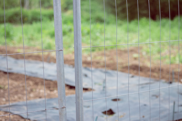 金属栅栏的照片选择焦点与模糊的花园背景。图片下载