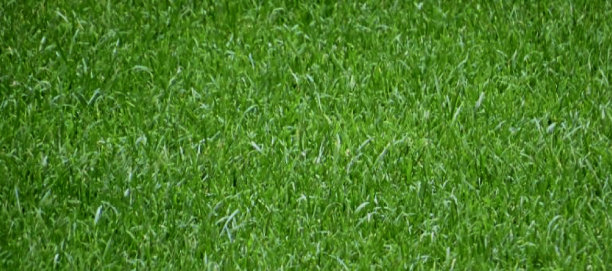 空足球背景图片下载