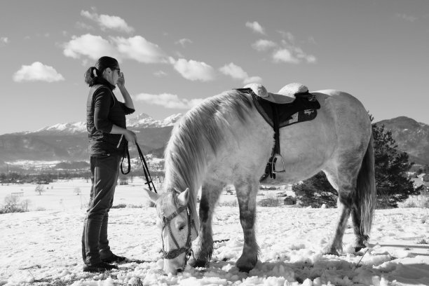 冬天的女人牵着一匹白色的马，背景是群山(黑白照片)图片下载
