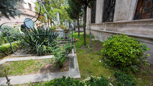 土耳其伊斯坦布尔古老的传统墓地的照片，春天的一天，狗在里面睡觉图片下载