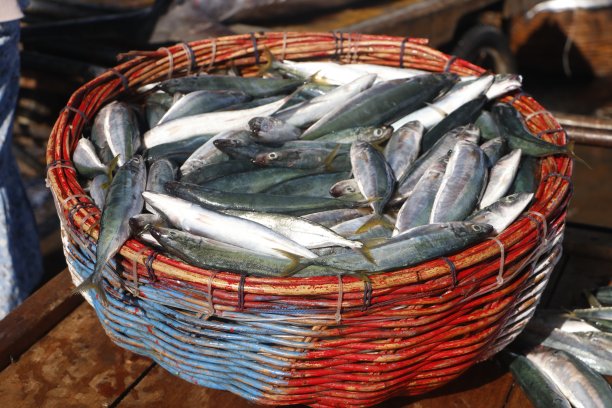 竹制的鱼篓在港外出售图片下载