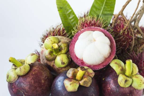 一半山竹，白布图片下载