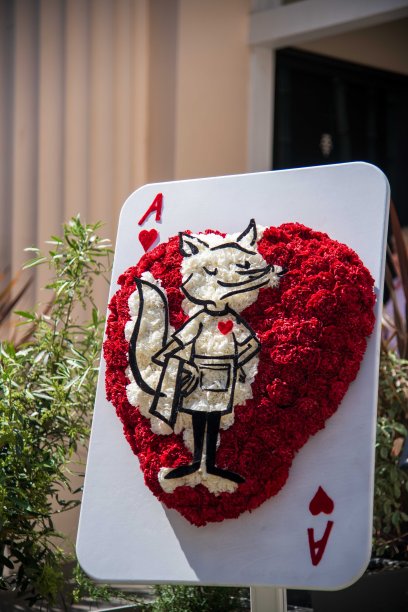 布卢姆的贝尔格莱维亚2024年图片下载