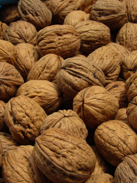 超级特写的新鲜核桃图片下载