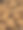 超级特写的新鲜核桃图片下载