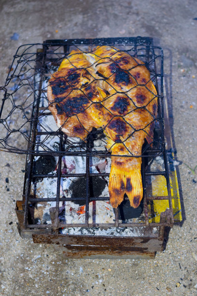 烤鲤鱼图片下载