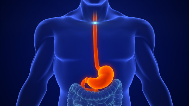 胃酸反流胃的抗酸治疗图片下载