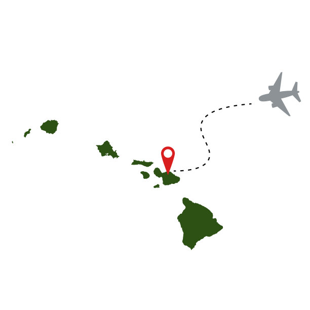 旅游到夏威夷，旅游目的地。手绘地图，飞机，路径，假期。美国州，岛屿，轮廓，地理。图片下载