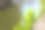 植物图片下载