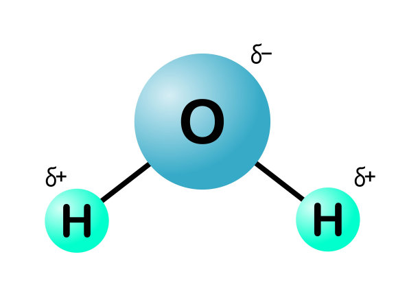水分子氢键矢量插画图片下载