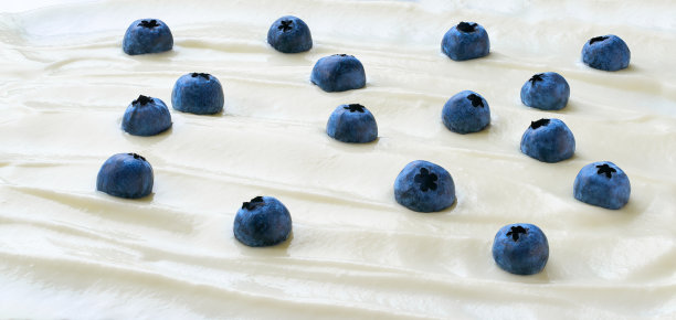 有机酸奶与新鲜蓝莓，食品背景的微距照片。美味的蓝莓益生菌酸奶，近一点。图片下载