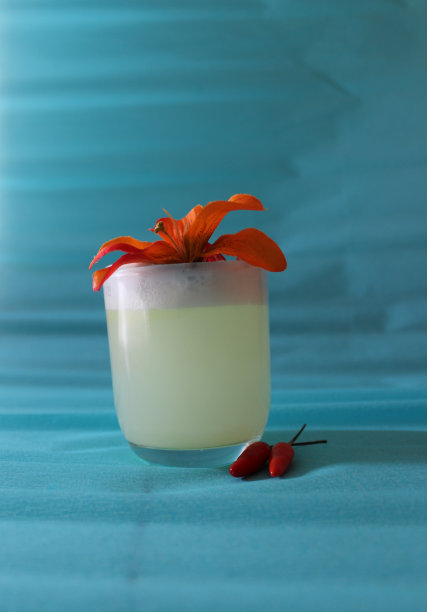 酒吧、餐厅和庆祝活动的白色鸡尾酒照片图片下载