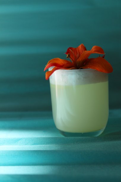 酒吧、餐厅和庆祝活动的白色鸡尾酒照片图片下载