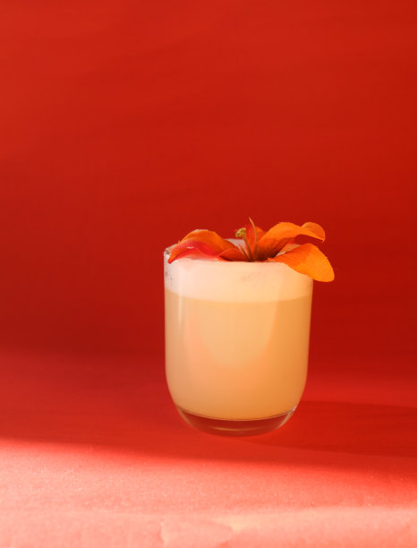 酒吧、餐厅和庆祝活动的白色鸡尾酒照片图片下载