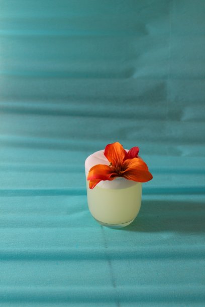 酒吧、餐厅和庆祝活动的白色鸡尾酒照片图片下载