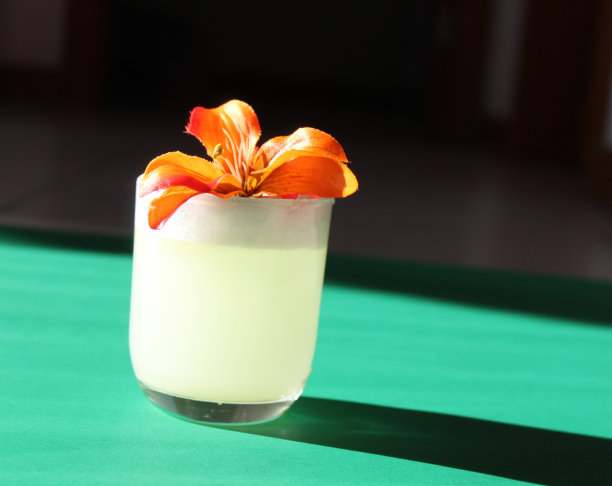 酒吧、餐厅和庆祝活动的白色鸡尾酒照片图片下载