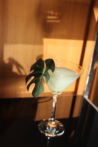 酒吧、餐厅和庆祝活动的鸡尾酒照片图片下载