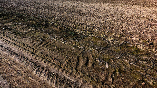 这是一张粗糙不平的地面特写照片，可以看到轮胎的痕迹和散落的小岩石。图片下载