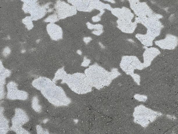 人行道上一棵树的影子的照片。图片下载