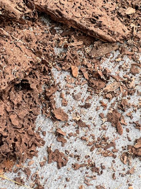 照片上的一堆泥土和碎片在地上。图片下载