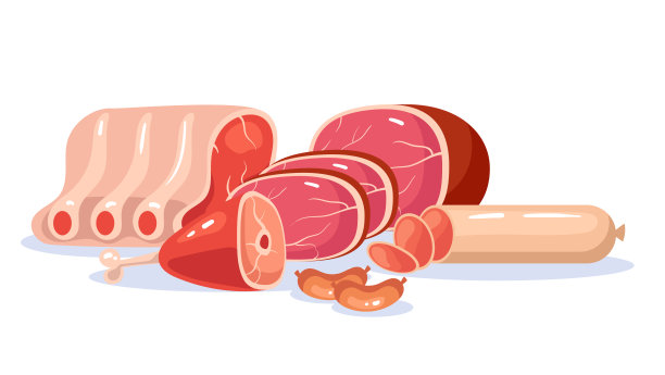 不同种类的肉组成孤立的概念。矢量平面图形设计插图图片下载