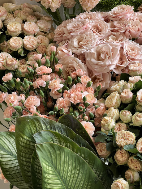 美丽的花束在绿色和柔和的桃色，所有在一个纹理，近距离垂直视图图片下载