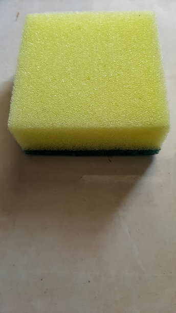 海绵图片下载