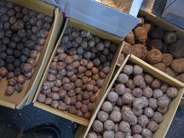 市场上出售的芋头根图片下载