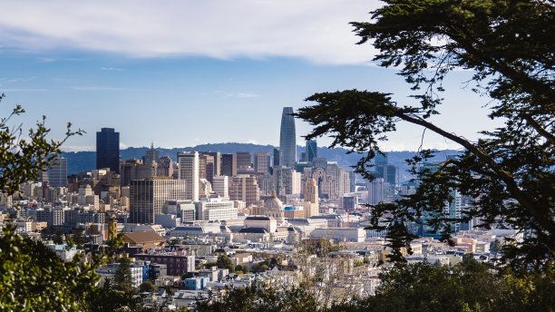 布埃纳维斯塔公园的全景城市景观。图片下载