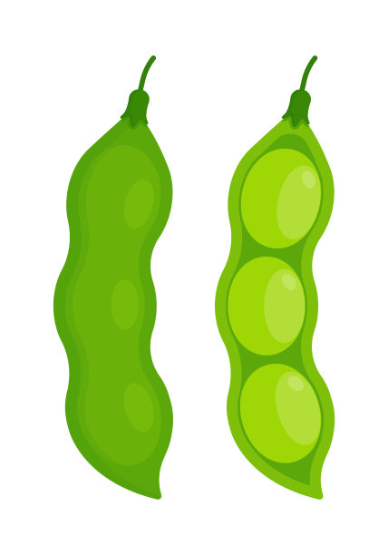 一套完整的和打开的豆荚。平面图标集隔离在白色背景。毛豆，纯素饮食概念。完美的教育材料，饮食指南，和食品包装设计图片下载