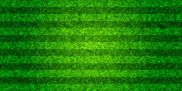 绿草如茵的足球场。带有条纹的足球场背景。运动场、运动场用人造或天然草皮。矢量图图片下载