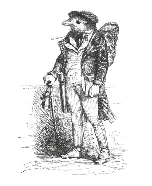 拟人化的动物。穿得好鸟。穿西装的鸟。老式的人类半机械人动物。手绘复古雕刻人性化的动物。塑造动物形象。手绘插图。cyborg的动物。外星人。没有人工智能。图片下载