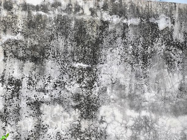 一名男子在水泥墙上骑滑板的照片。图片下载