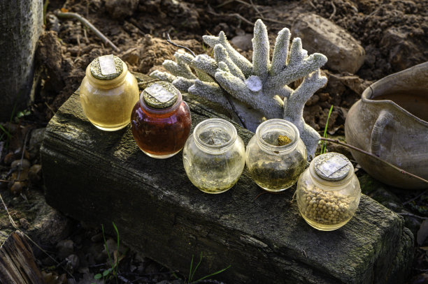 5个小玻璃瓶的特写，香料容器，里面有各种各样的香料，颜色:橙色，红色，米色，三个关闭，两个打开。把它们放在一块木板上，后面是一片白色的老珊瑚，这一切都是一个古老的冬季花园的装饰品。”图片下载