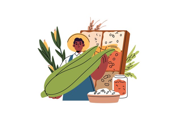 农夫手里拿着大玉米棒。当地农场工人在农业博览会上出售不同的谷物、杂粮、谷物和小麦。卖主务农、收割庄稼。平面隔离矢量插图上的白色图片下载