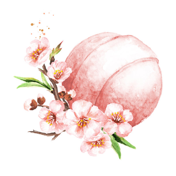 沐浴炸弹，芳香SPA概念。手绘水彩插图孤立的白色背景图片下载