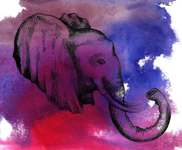 大象濒临灭绝图片下载