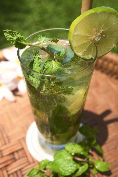 假日期间绿色莫吉托生活风格鸡尾酒的照片图片下载