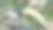 在房子后面的花园里，各种植物的干叶子堆成的垃圾被收集起来用作肥料。图片下载